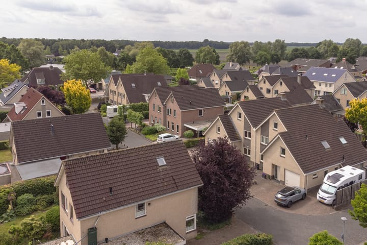 Foto 102 van Grijze Snip 24