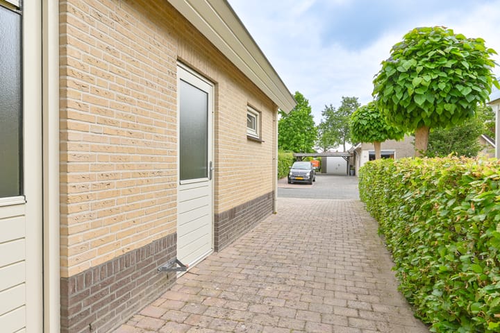 Foto 100 van Grijze Snip 24