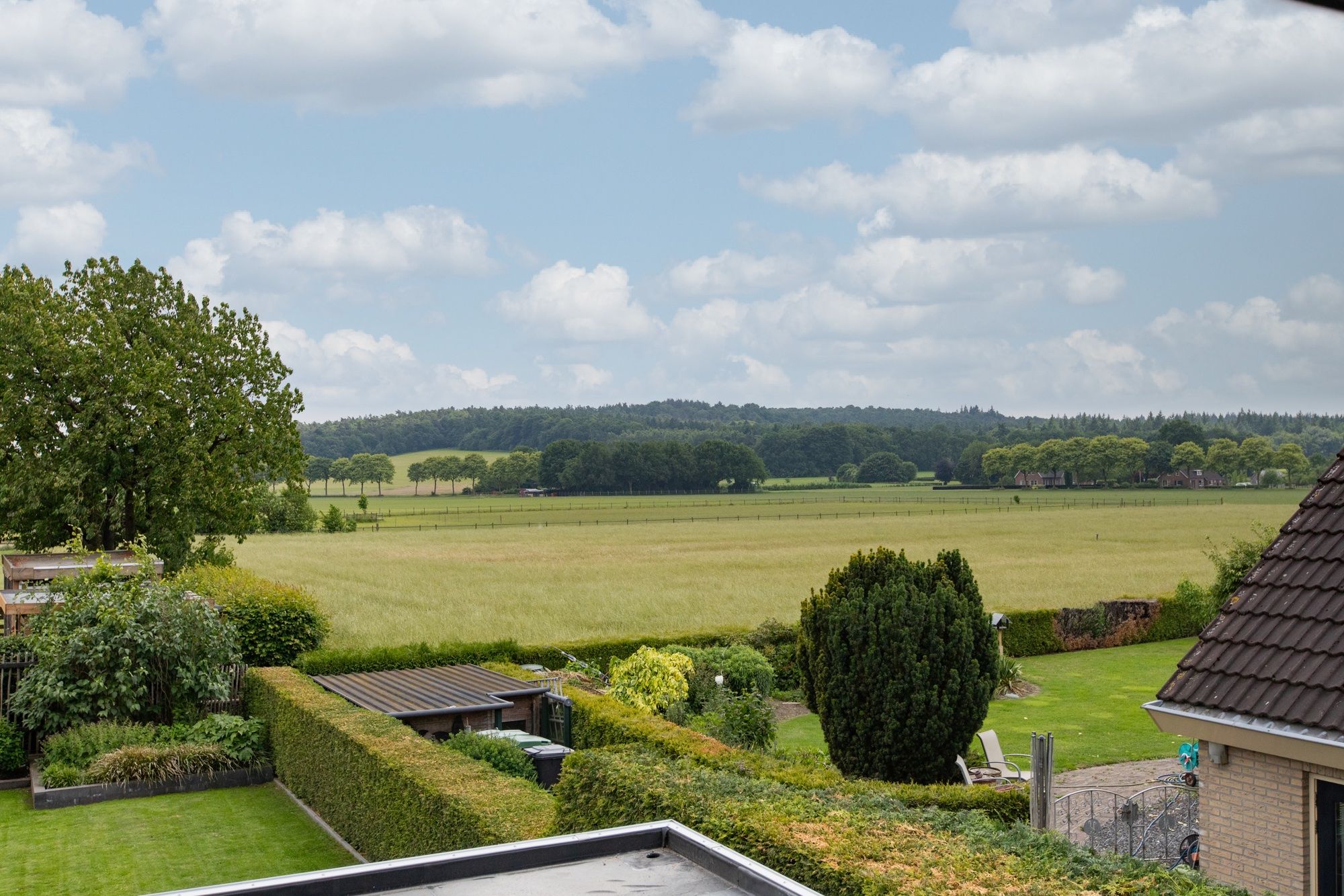 Foto 45 van Dorpskant 4