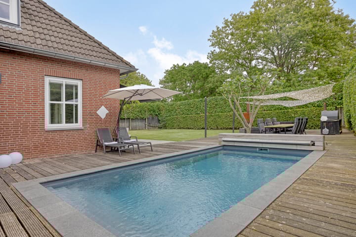 Foto 6 van Duizendblad 8