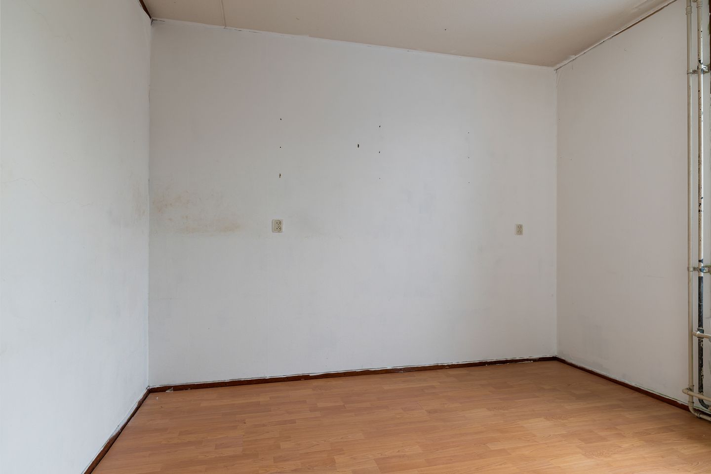 Foto 14 van Griend 30 11