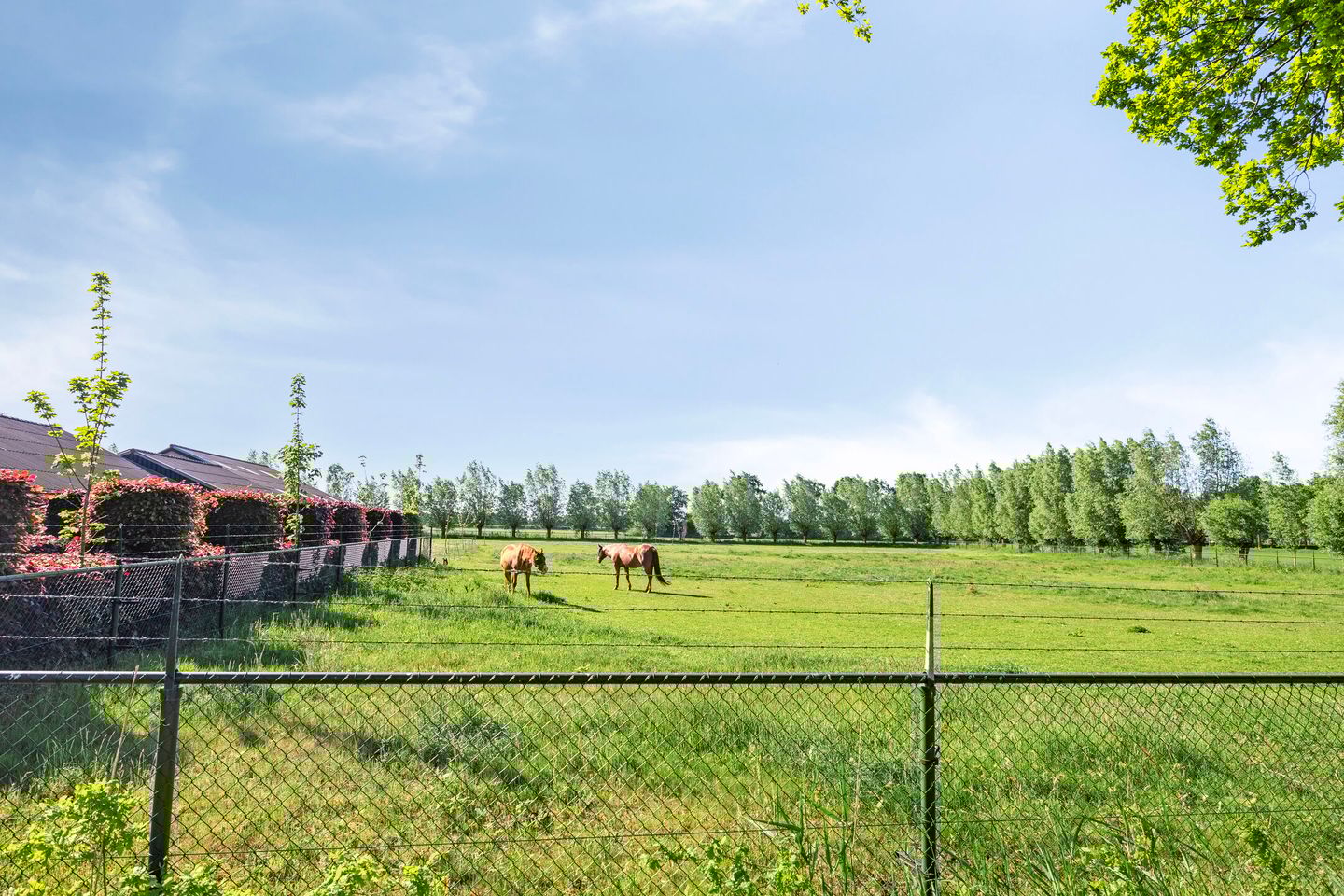 Foto 74 van Schanseweg 3