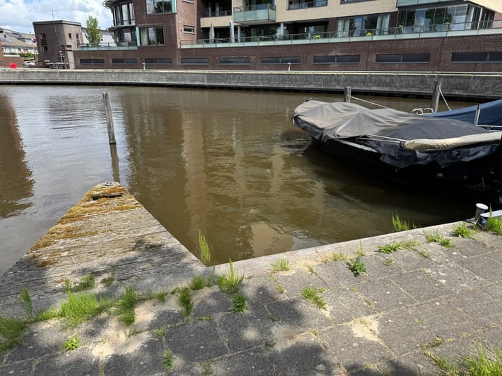Foto 6 van Steenwijkerdiep