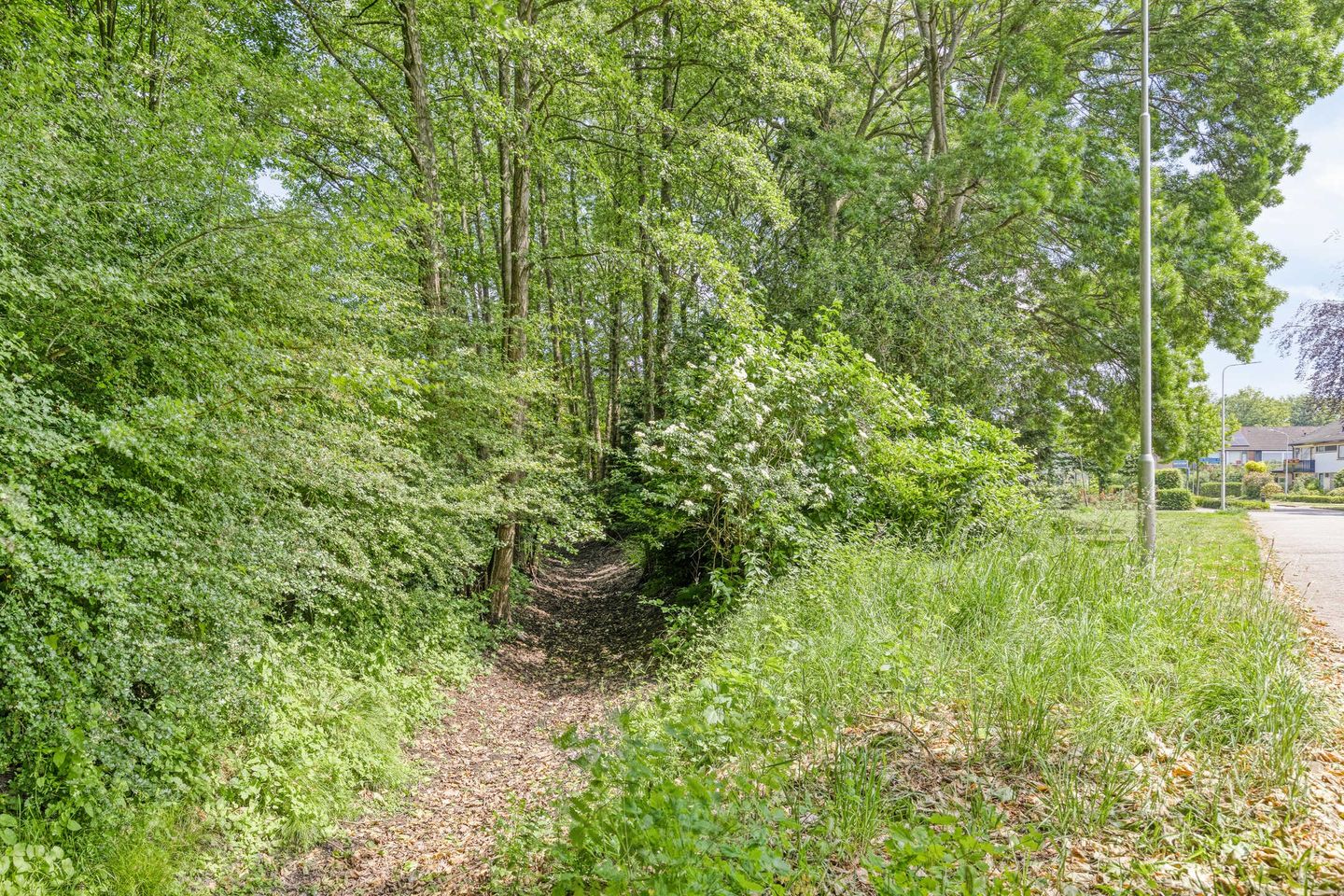 Foto 50 van De Heurne 46