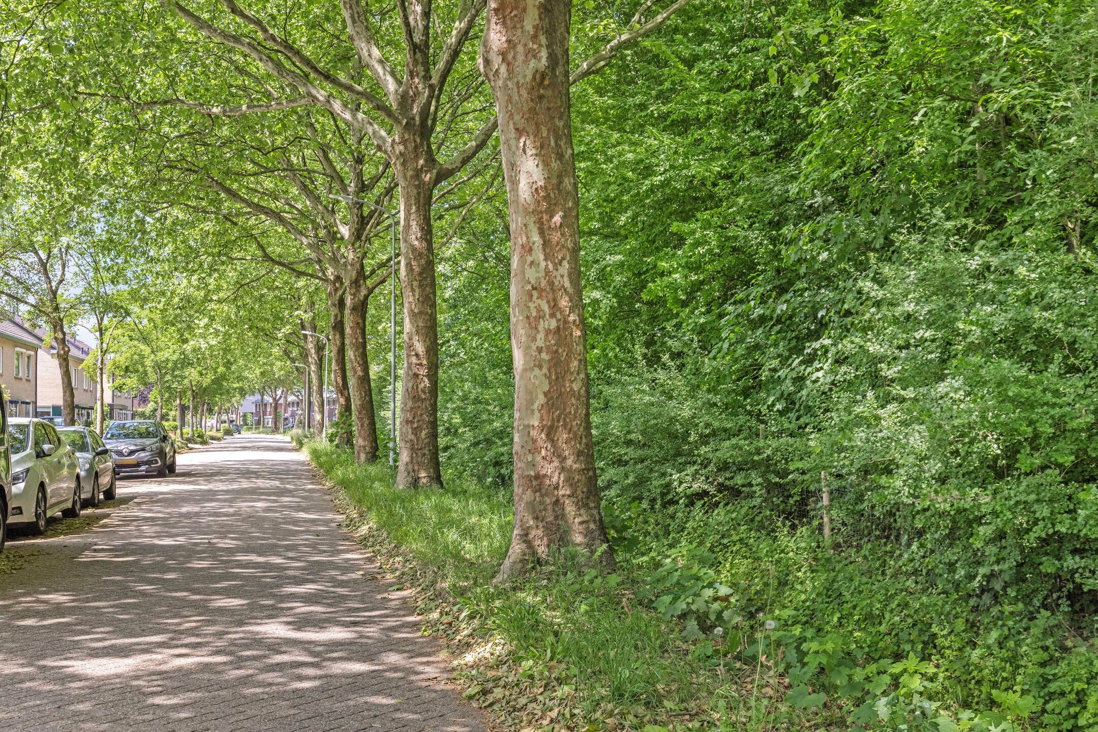 Foto 51 van De Heurne 46