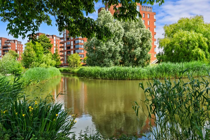 Foto 53 van Korenmolen 13