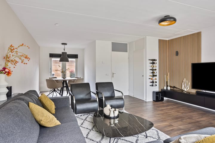 Foto 2 van Plevier 25