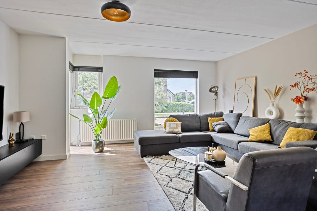 Foto 8 van Plevier 25