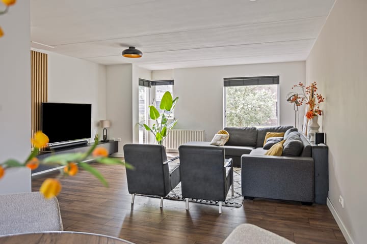 Foto 10 van Plevier 25