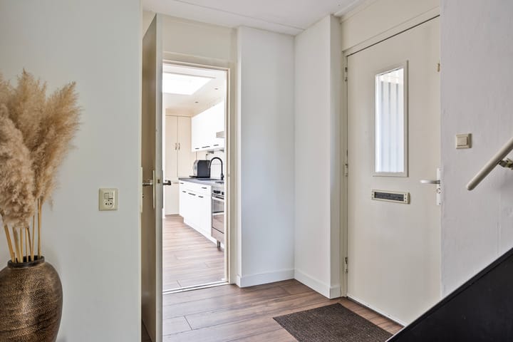 Foto 11 van Plevier 25