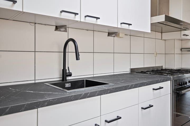 Foto 13 van Plevier 25