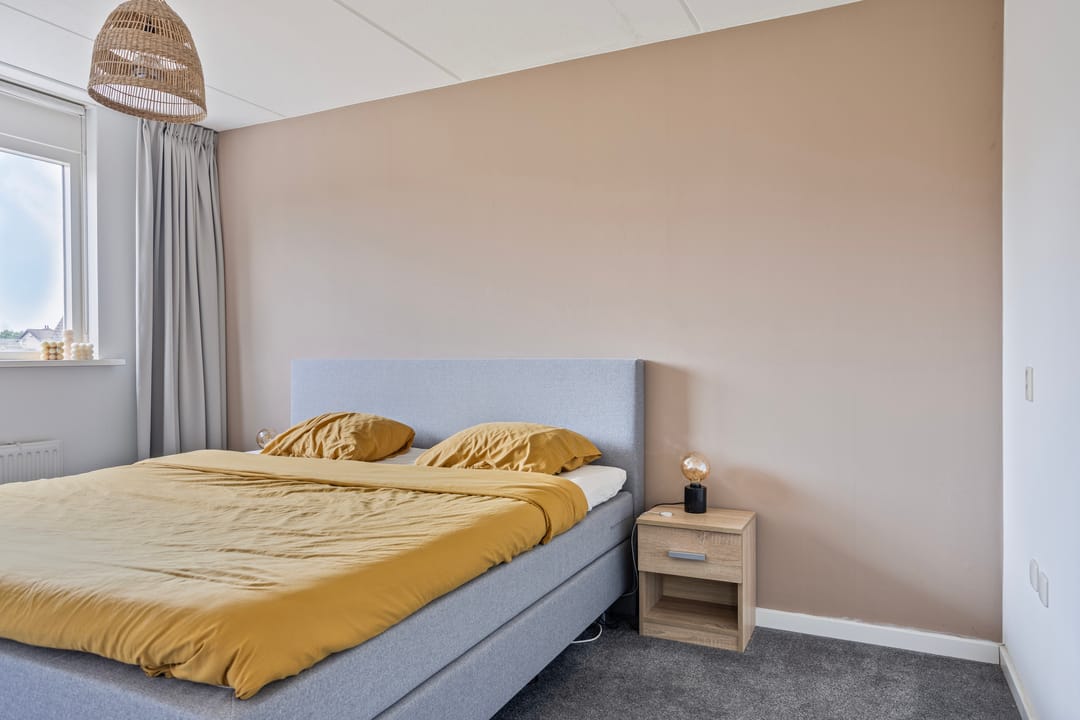 Foto 17 van Plevier 25