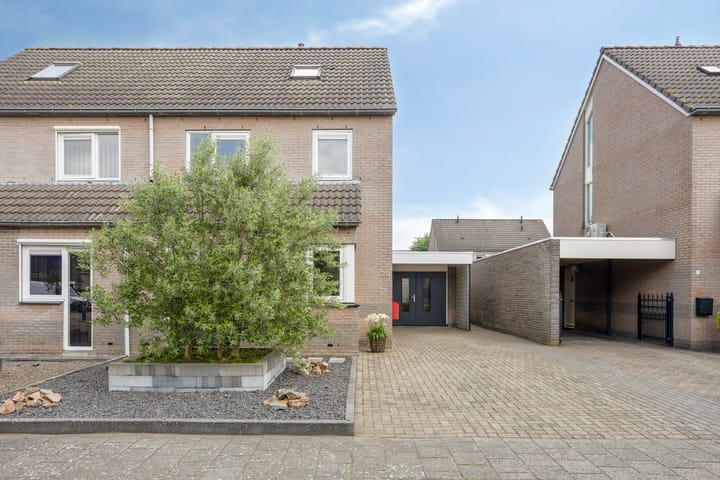 Foto 31 van Plevier 25