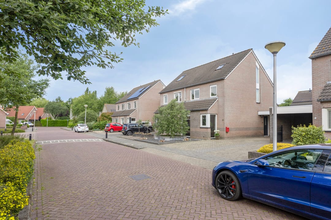 Foto 32 van Plevier 25