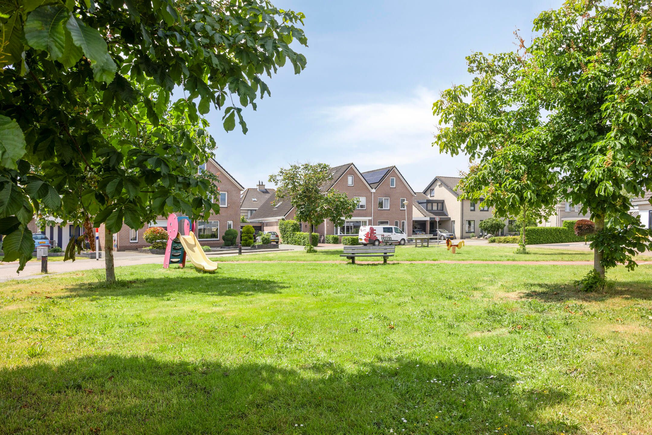 Foto 33 van Plevier 25