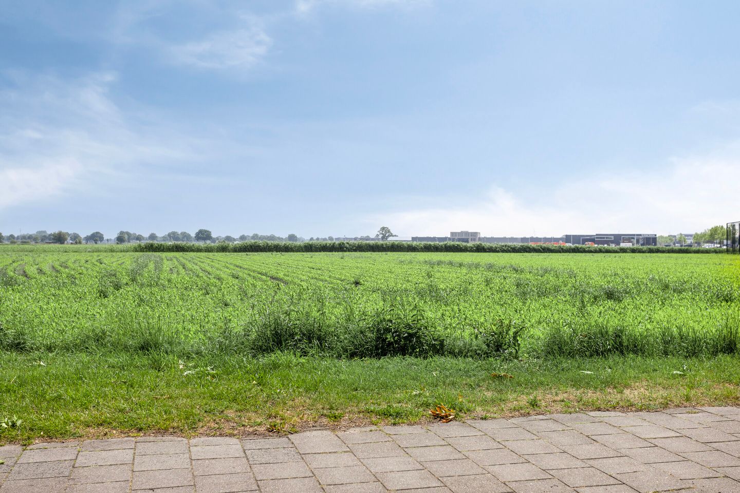 Foto 34 van Plevier 25