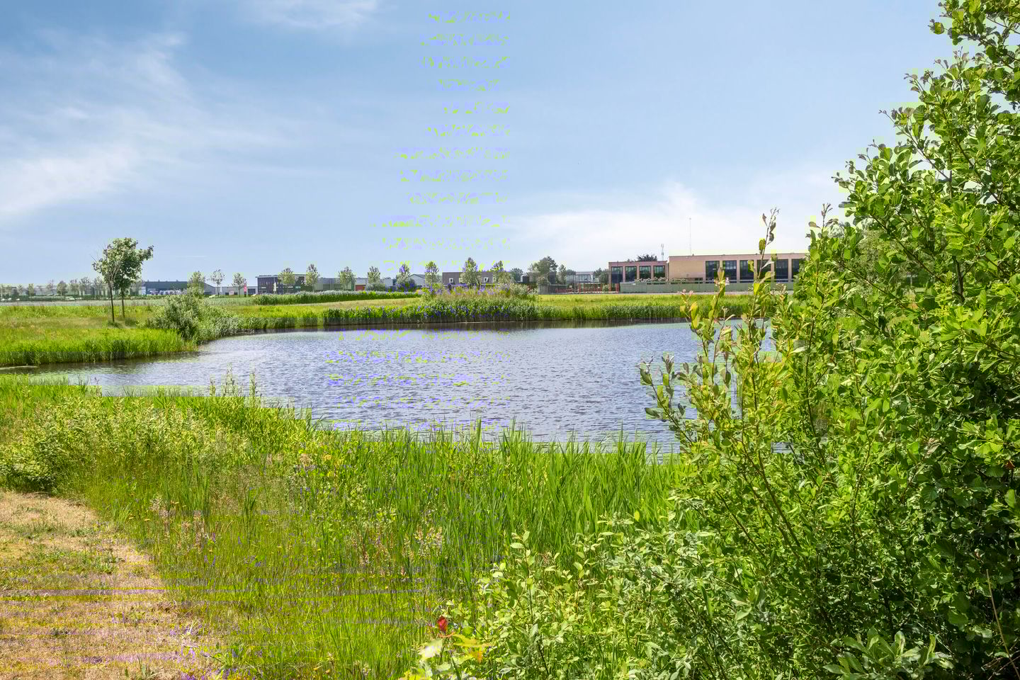 Foto 35 van Plevier 25