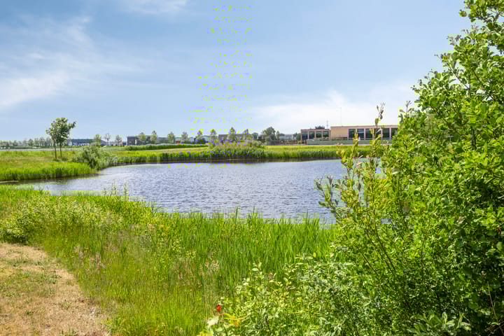 Foto 35 van Plevier 25