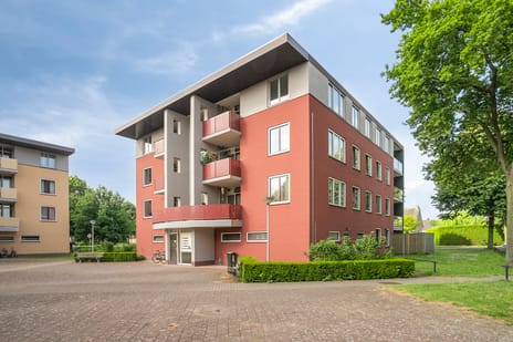 Zwaluwstraat thumbnail