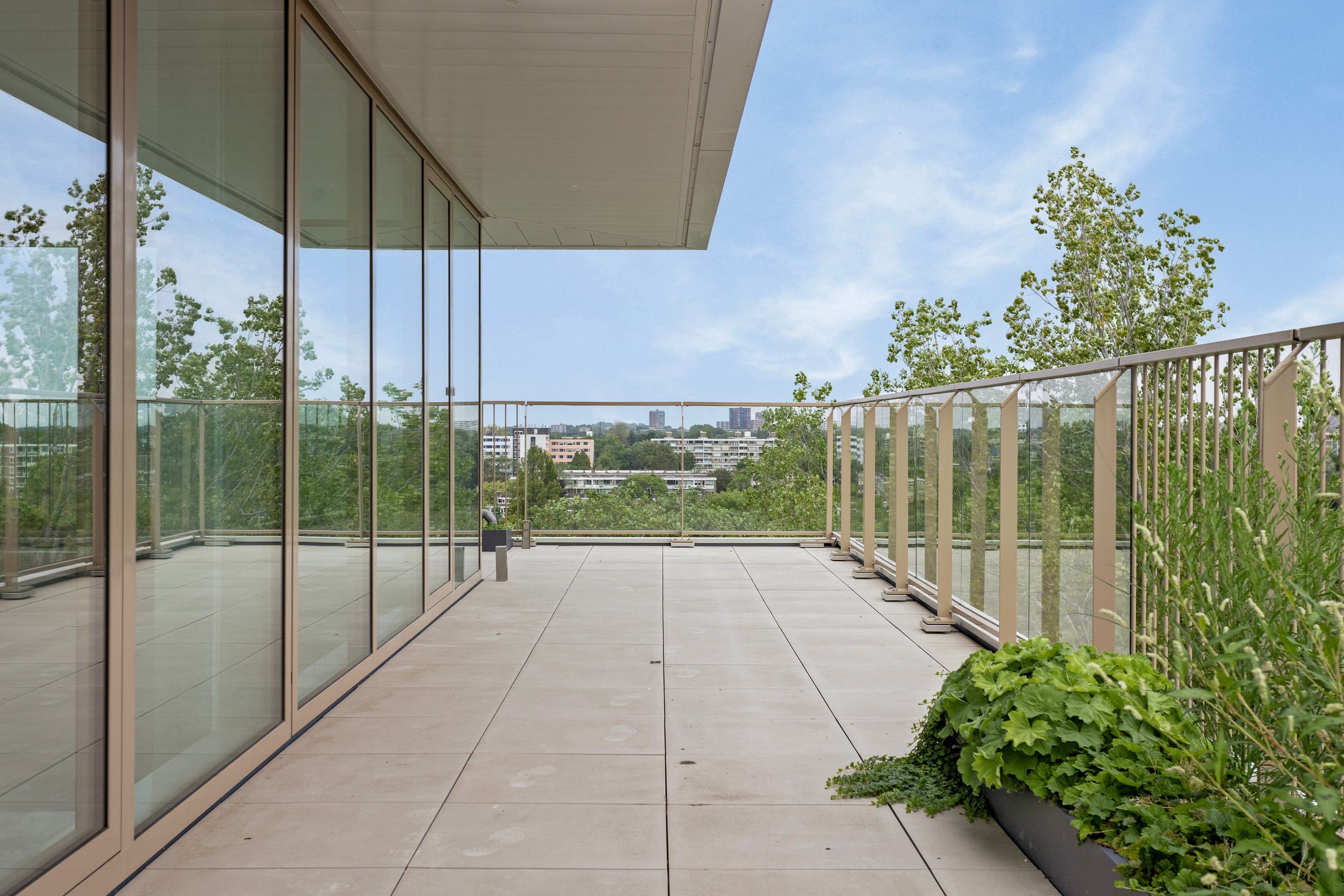 Photo 42 of Nancy Zeelenbergsingel 174