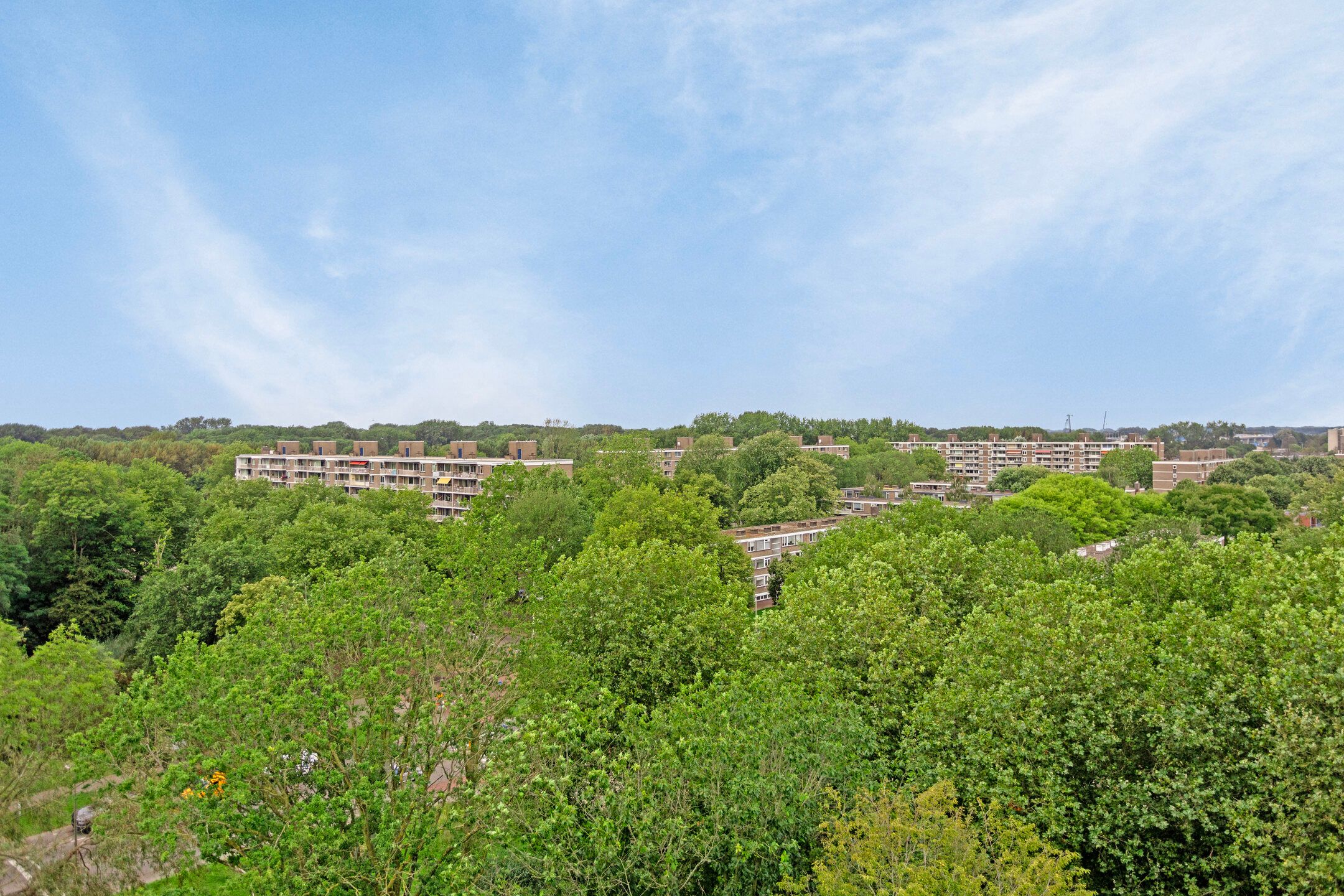 Photo 48 of Nancy Zeelenbergsingel 174