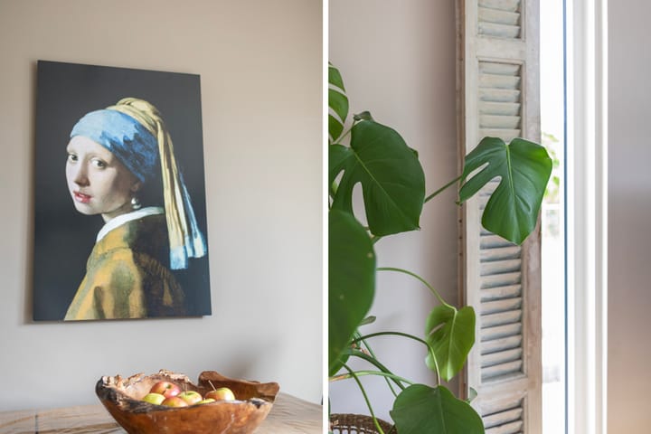 Foto 17 van Tulipastrjitte 45