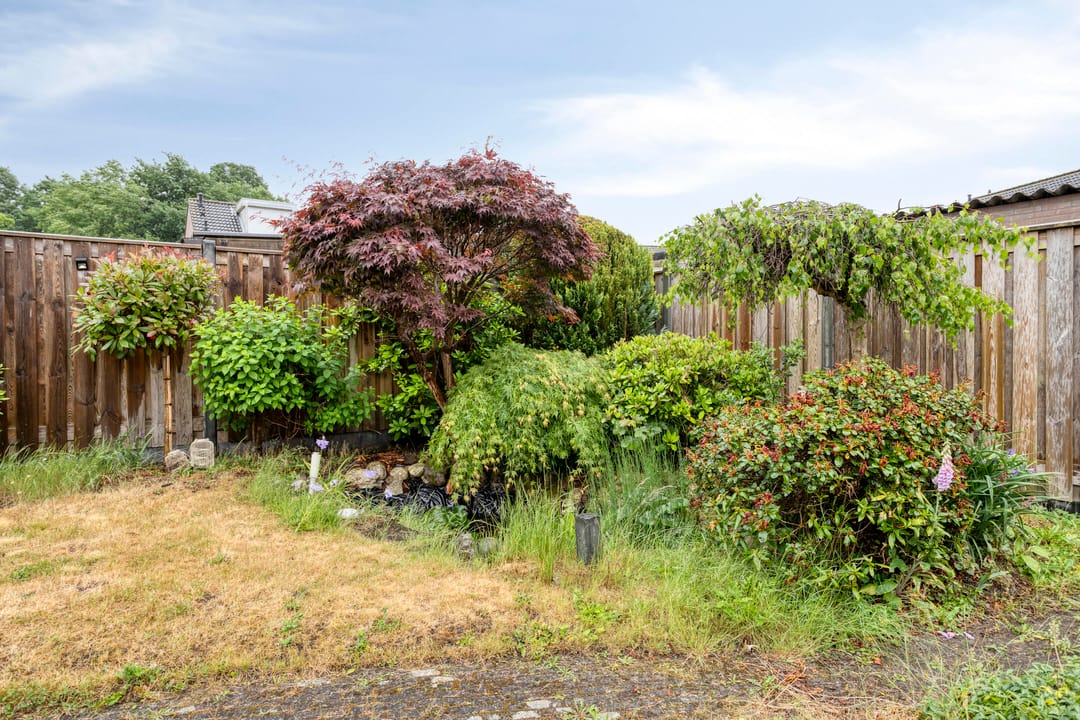 Foto 37 van Damastberg 139