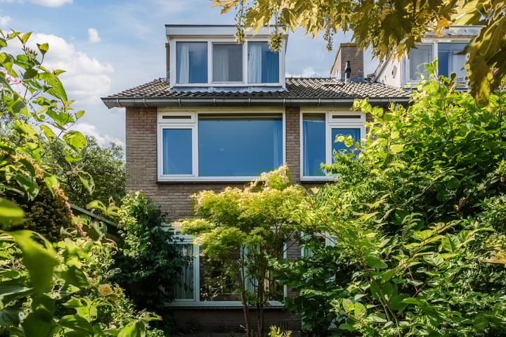 Photo 3 of Callenburghplantsoen 15