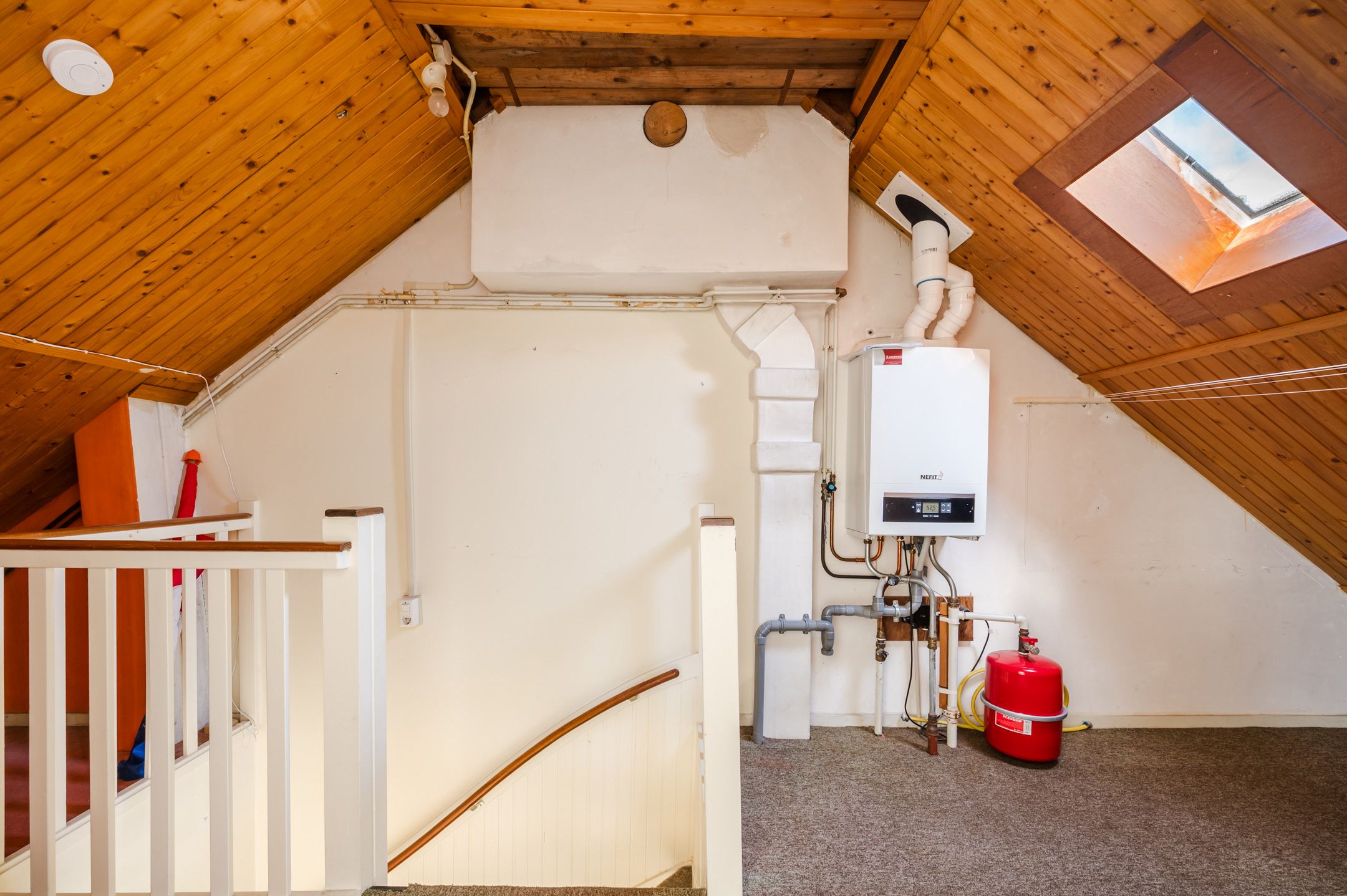 Foto 21 van Callenburghplantsoen 15