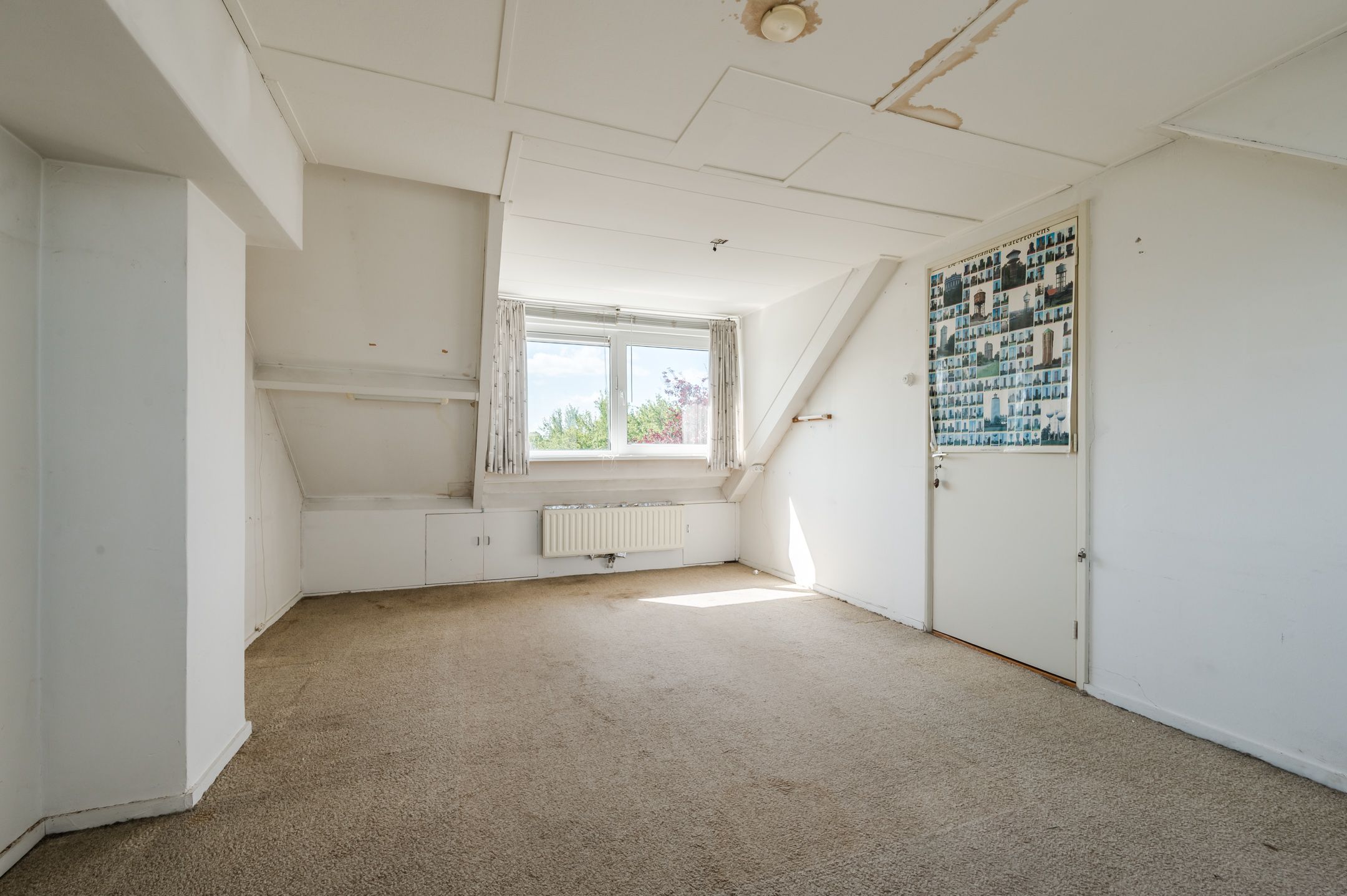 Foto 24 van Callenburghplantsoen 15