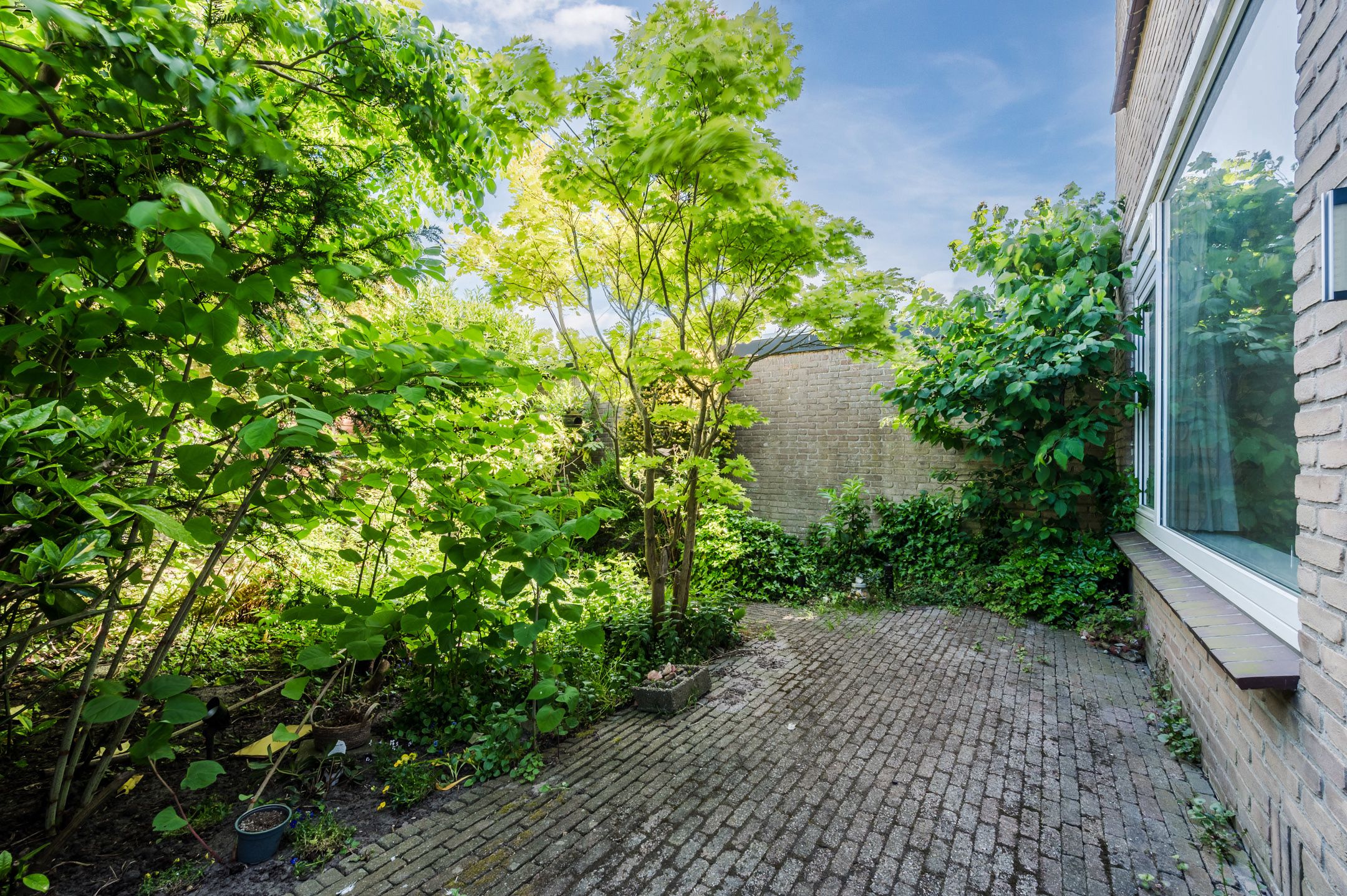 Foto 27 van Callenburghplantsoen 15