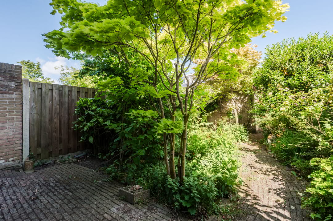 Foto 28 van Callenburghplantsoen 15