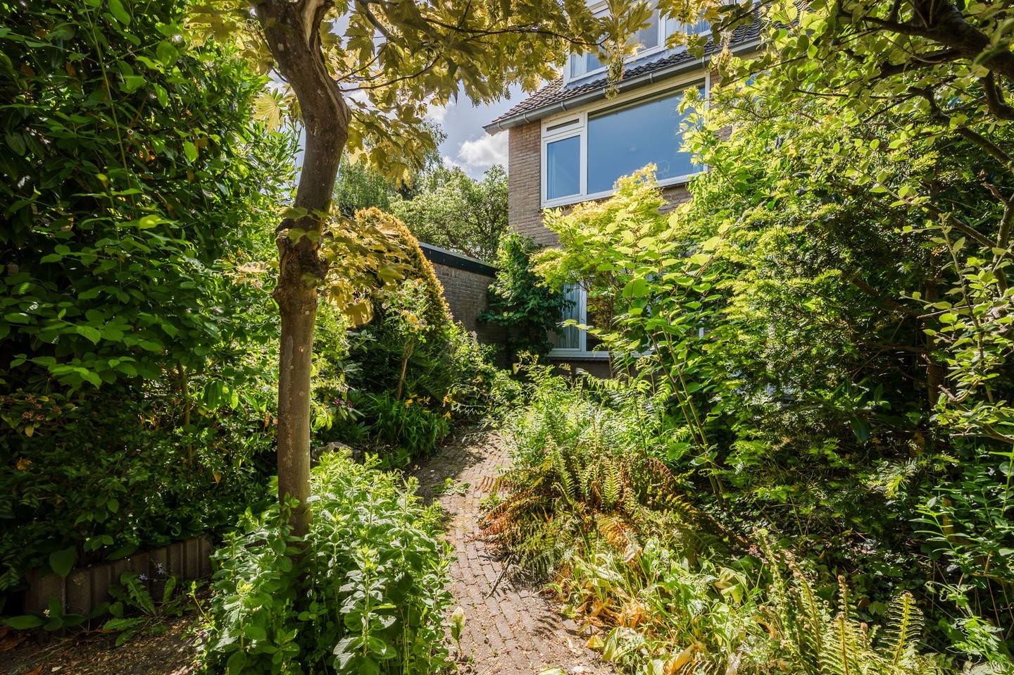 Foto 29 van Callenburghplantsoen 15