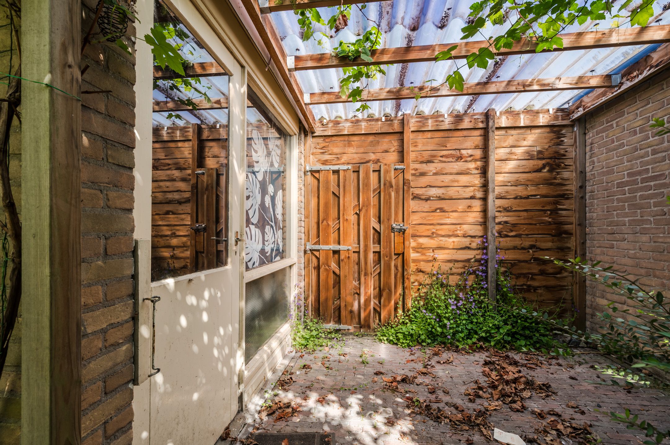 Foto 30 van Callenburghplantsoen 15