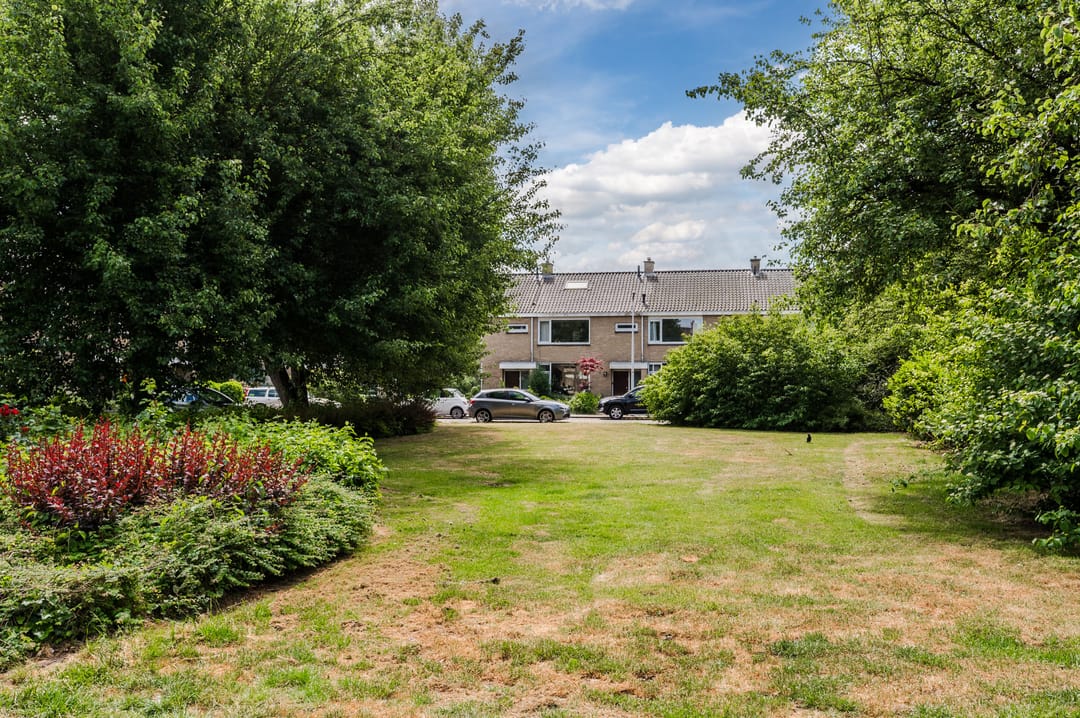 Foto 32 van Callenburghplantsoen 15