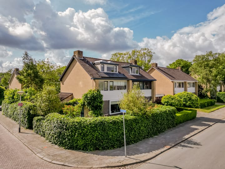 Foto 42 van Hornstraat 2