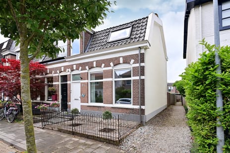 Pauwenstraat thumbnail