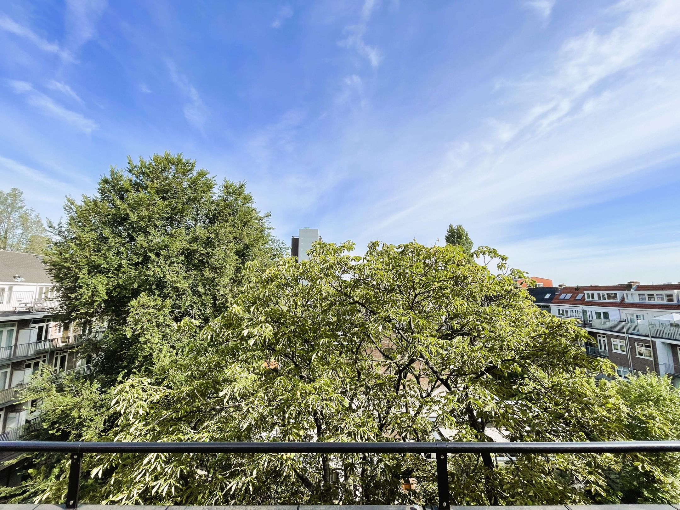 Photo 33 of Floris Versterstraat 10-F