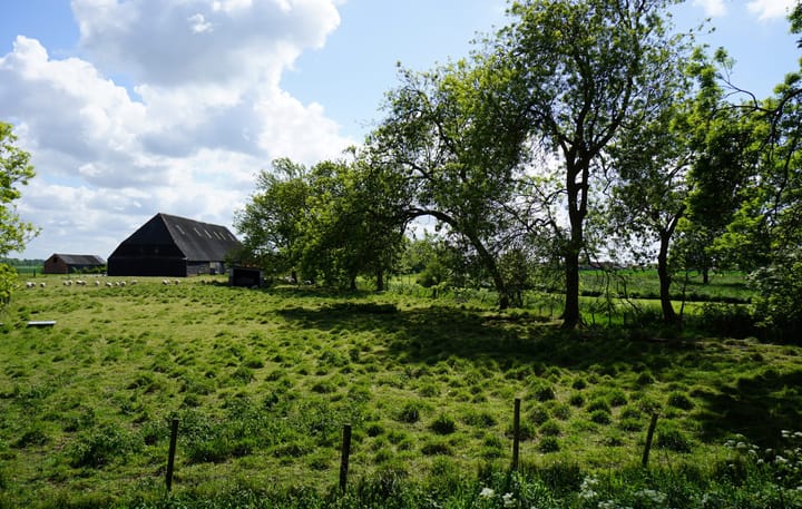 Photo 5 of Platteweg 1