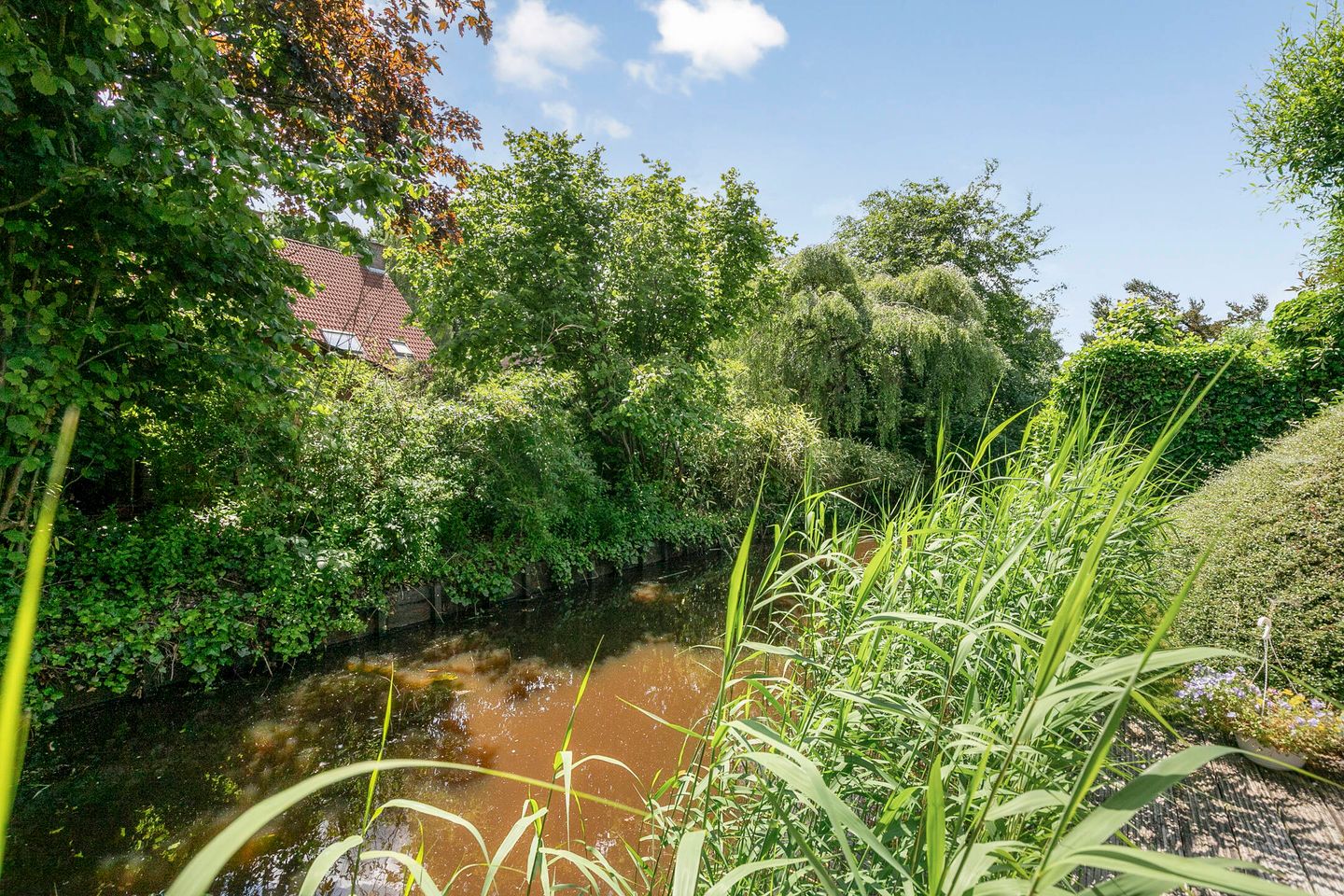 Photo 34 of Hofstedering 251