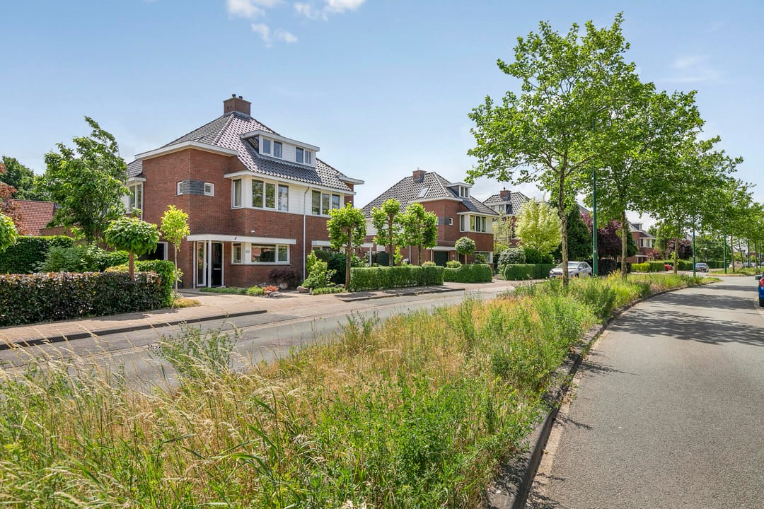 Photo 37 of Hofstedering 251