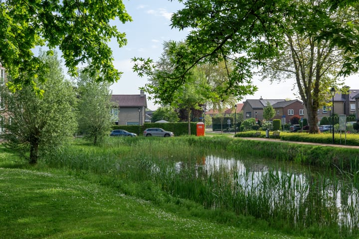 Foto 29 van De Beeringen 4