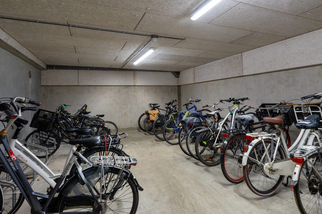 Foto 31 van De Beeringen 4