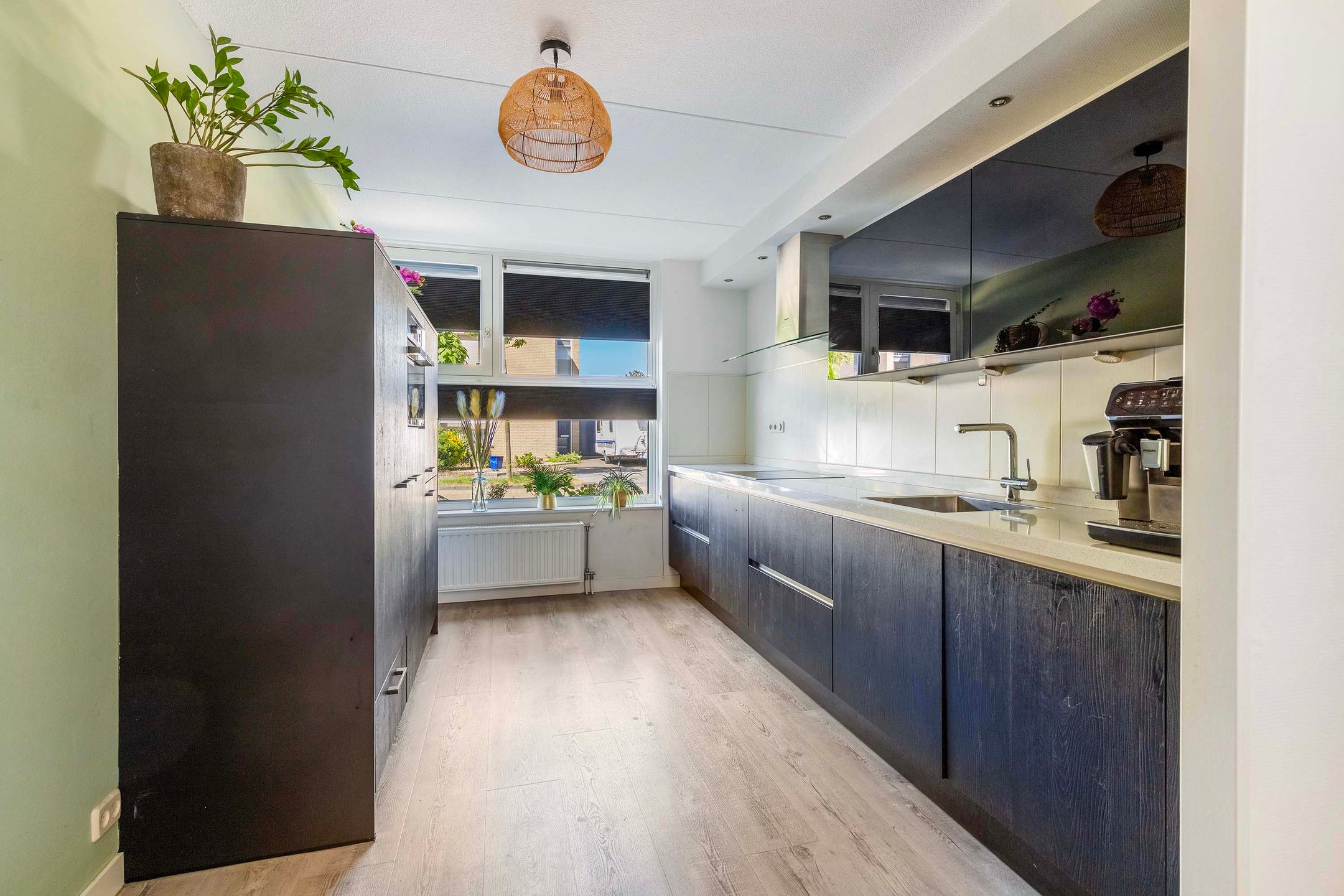 Photo 12 of Carmen 2