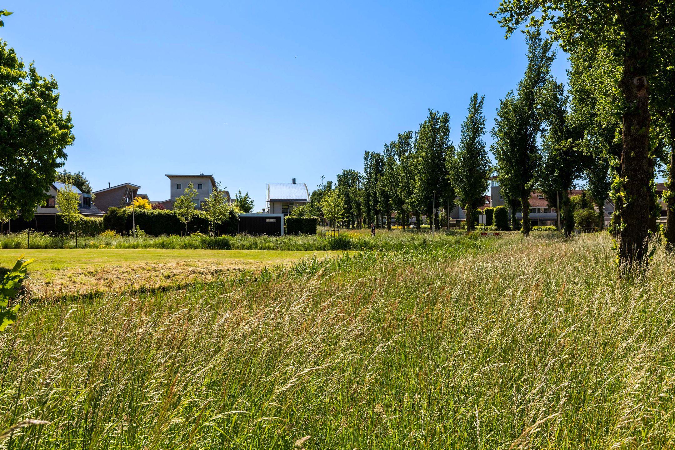 Photo 45 of Carmen 2