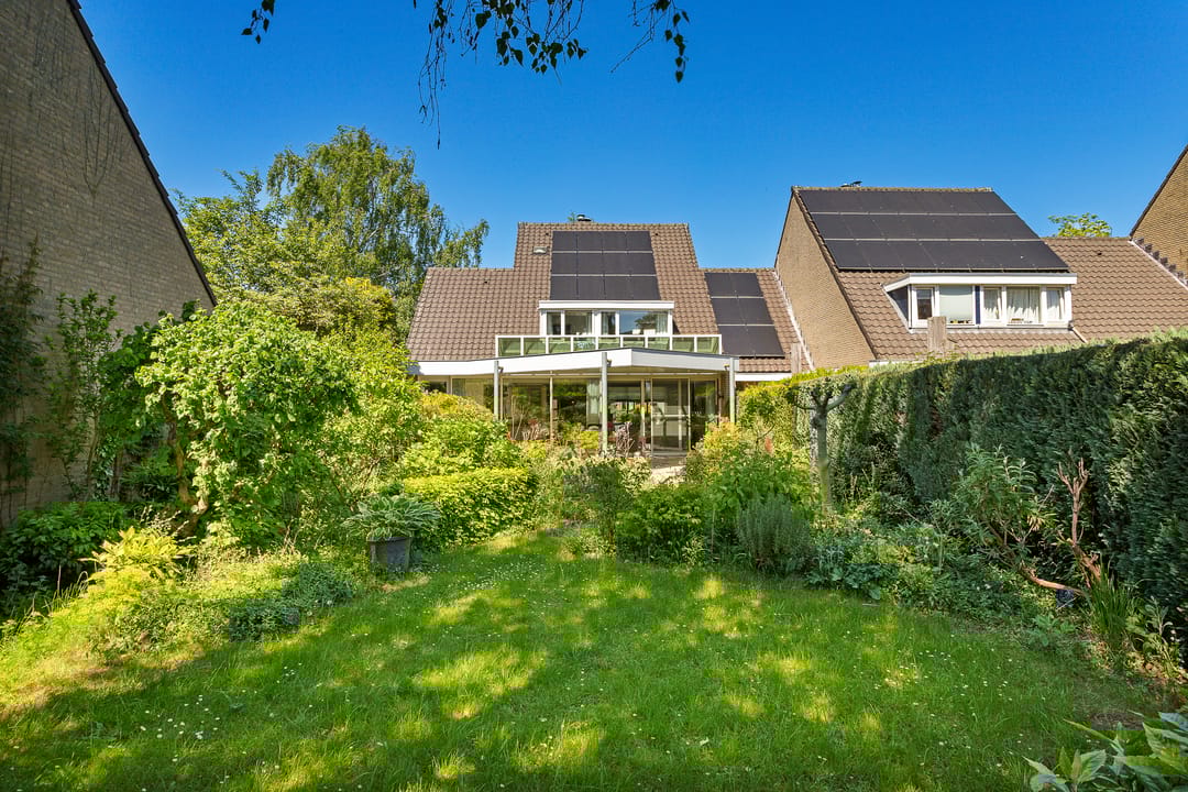 Foto 53 van Dingostraat 61