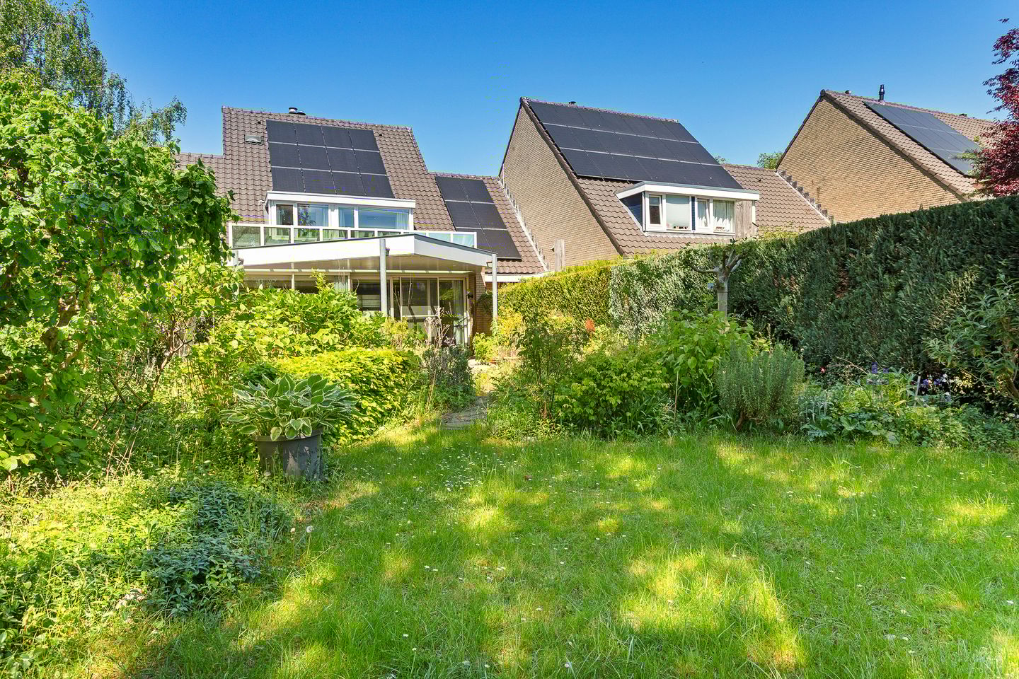 Foto 55 van Dingostraat 61