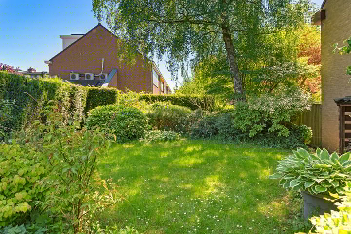 Foto 56 van Dingostraat 61