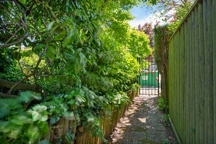 Foto 65 van Dingostraat 61