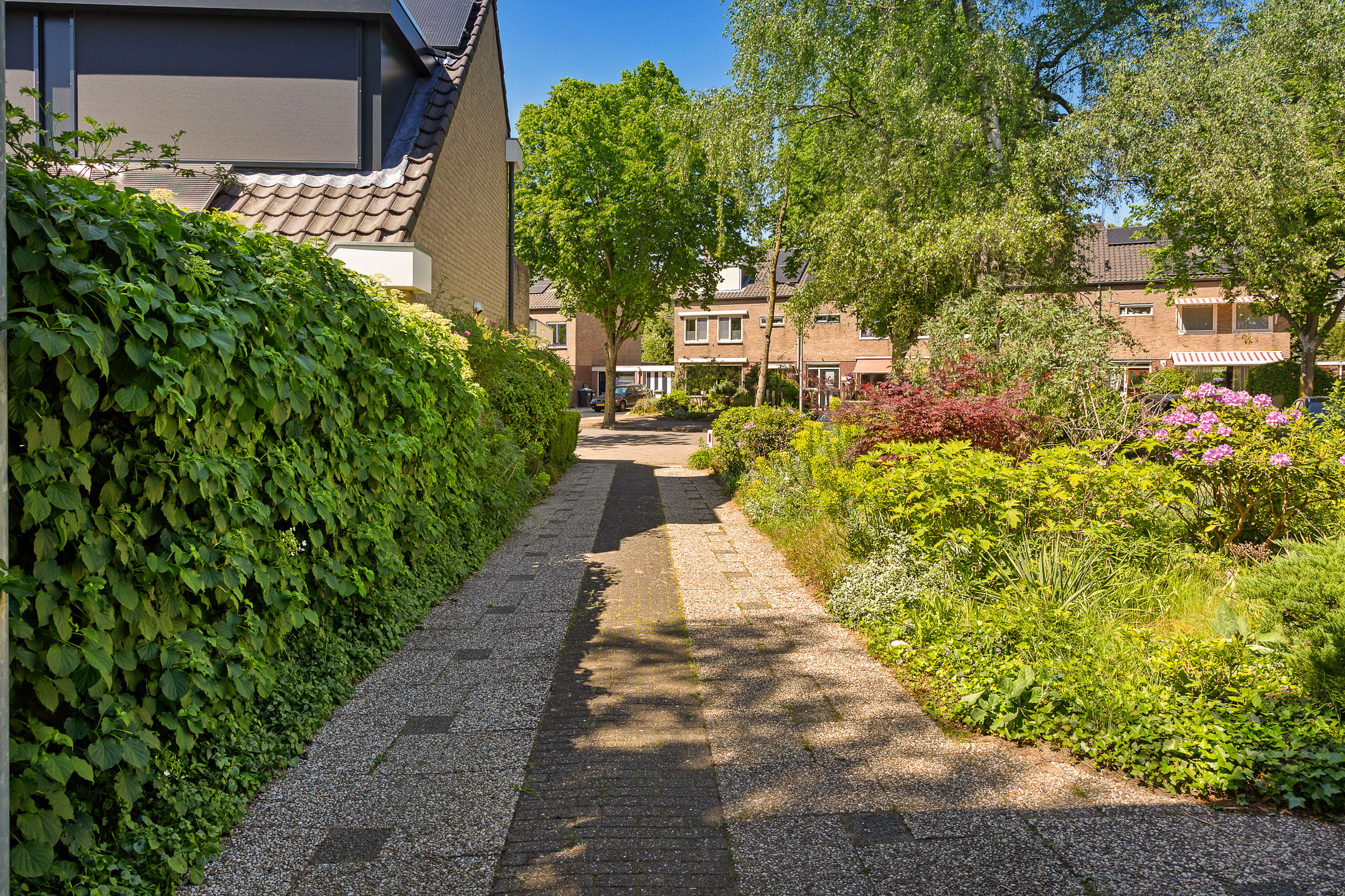 Foto 66 van Dingostraat 61